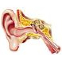Hearing Solutions Of Arizona logo - Similar company to M&I For Hearing & Medical Solutions