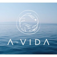A-VIDA logo - Similar company to Brain Box - Mediatraining