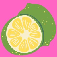 Lime Digital Studio logo - Similar company to Blacksmith & Jones