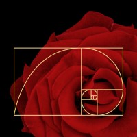 Liberatory Love Coaching