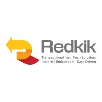 Redkik Asia Ltd logo - Similar company to Nolwenture Ltd.