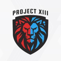 Project XIII Inc logo - Similar company to Thompson Search Partners Inc.