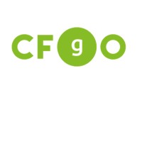 CFgO Professional Corporation logo - Similar company to Fractional Controller