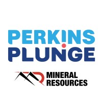 Perkins Plunge logo - Similar company to Vanir Marine