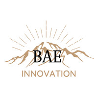 BAE INNOVATION logo - Similar company to Pgt Group