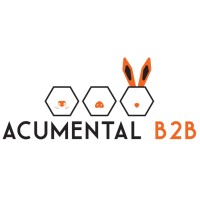 Acumental B2B logo - Similar company to B2X Partners