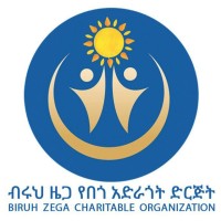 BiruhZega logo - Similar company to Kodac