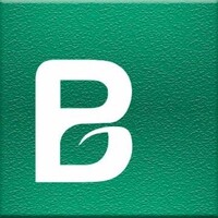 Belief Technolab logo - Similar company to Errsol Technologies Llp