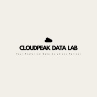 Cloudpeak Data Lab logo - Similar company to Cloudpeak