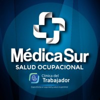 Salud Ocupacional - Médica Sur & Clínica del Trabajador logo - Similar company to Vulpine