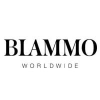 Blammo Worldwide logo - Similar company to Mcmillian Design