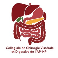 Collégiale de Chirurgie Viscérale et Digestive AP-HP logo - Similar company to The Perk Lab
