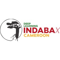 IndabaX Cameroon logo - Similar company to Aims Cameroon