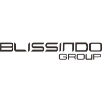 Blissindo Group logo - Similar company to Interconnectdata