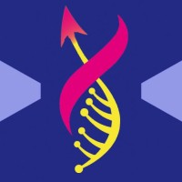 Omnics Research Group logo - Similar company to Leaf S.R.L.