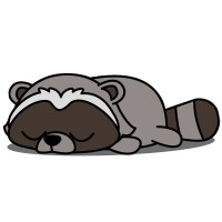 Lazyracoon Llc
