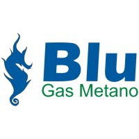 Blu Gas Metano logo - Similar company to Blugas
