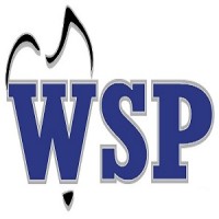 Wiring Solutions Plus logo - Similar company to Software Leadership