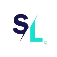 Skyline Networks logo - Similar company to Telecom Direct Ltd