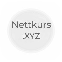 Nettkurs.XYZ logo - Similar company to Keeply.Ai - Daily Bookkeeping