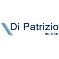 Automobili Di Patrizio S.p.A. logo - Similar company to Automobili Coero Borga Srl