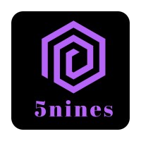 5nines logo - Similar company to 5Nines Llc