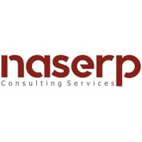 Naserp Consulting Services logo - Similar company to Petra Technology