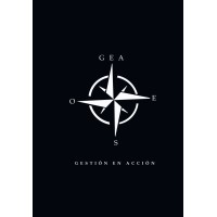 GEA Gestión en Acción logo - Similar company to Abcdisplay