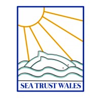 Sea Trust Wales logo - Similar company to Celtic Deep