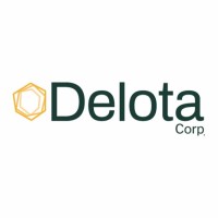 Delota Corp. (CSE: NIC) logo - Similar company to Witz Education