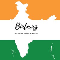 Binternz logo - Similar company to Pupilify