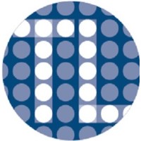 TrendLine Insights LLC