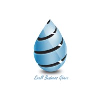 Small Business Ghana logo - Similar company to Business Lens
