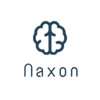 Naxon Labs logo - Similar company to Naxon