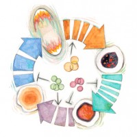 Purvis Lab: Unc School Of Medicine – Department Of Genetics