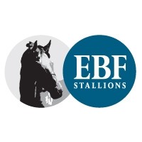 British European Breeders' Fund logo - Similar company to Smyly Media