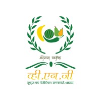 VNG Fruits and Vegetable Company logo - Similar company to Woowfresh - We Are Deliver Online Fruits And Vegetable In Gurgaon