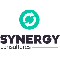 Synergy Consultores logo - Similar company to Alpha Solutions