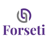 Forseti Solution Group logo - Similar company to Surrex Consulting