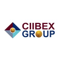 CIIBEX Group logo - Similar company to Handyman Daige