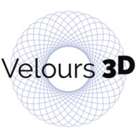 Velours3D logo - Similar company to Zynerator