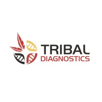 Tribal Diagnostics logo - Similar company to Big Vision