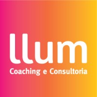 LLUM logo - Similar company to Vizzio Integra