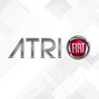 Atri Fiat logo - Similar company to Byd Css