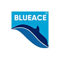 Blueace Ltd logo - Similar company to Blueace