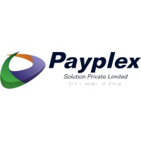 Payplex Solutions logo - Similar company to Insecsys