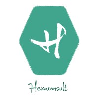 Hexaconsult logo - Similar company to Solygec