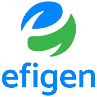 Efigen renewable energy logo - Similar company to Solaria Energias Renovables