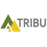 TRIBU Consultores logo - Similar company to B2B Trust (Chile)