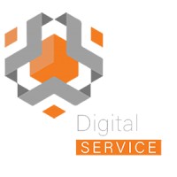Digiservices Agency logo - Similar company to Webzone Sarl